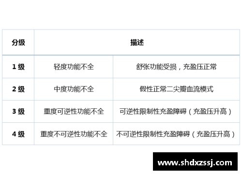 球员：技术与领导力的分级评估